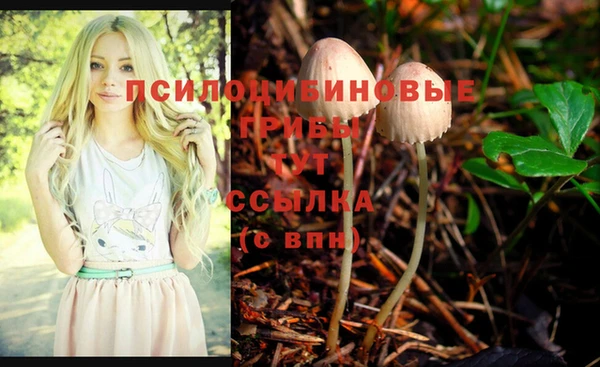 сатива Арсеньев