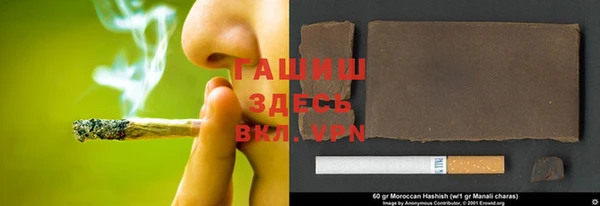 сатива Арсеньев