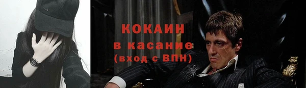 сатива Арсеньев
