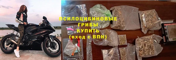 сатива Арсеньев