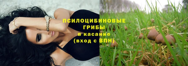 сатива Арсеньев