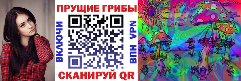 где найти наркотики  Волгоград  Галлюциногенные грибы Psilocybe 