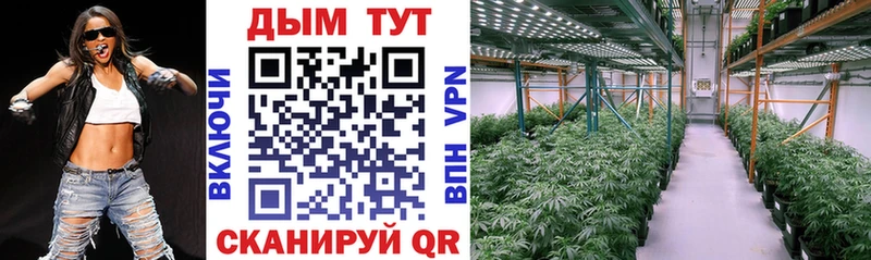 Бошки Шишки конопля  дарнет шоп  Волгоград 